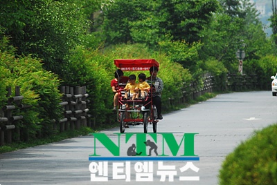 <서울의 하늘공원 한가족이 나들이 겸 훼미리 자전거를 타고 있다>